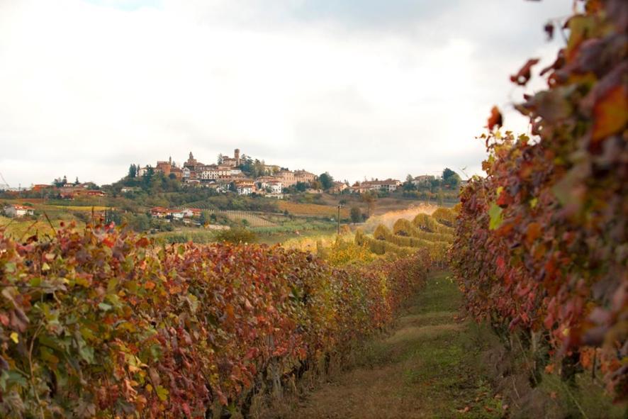 Agriturismo Antichi Poderi Gallina Neive Dış mekan fotoğraf