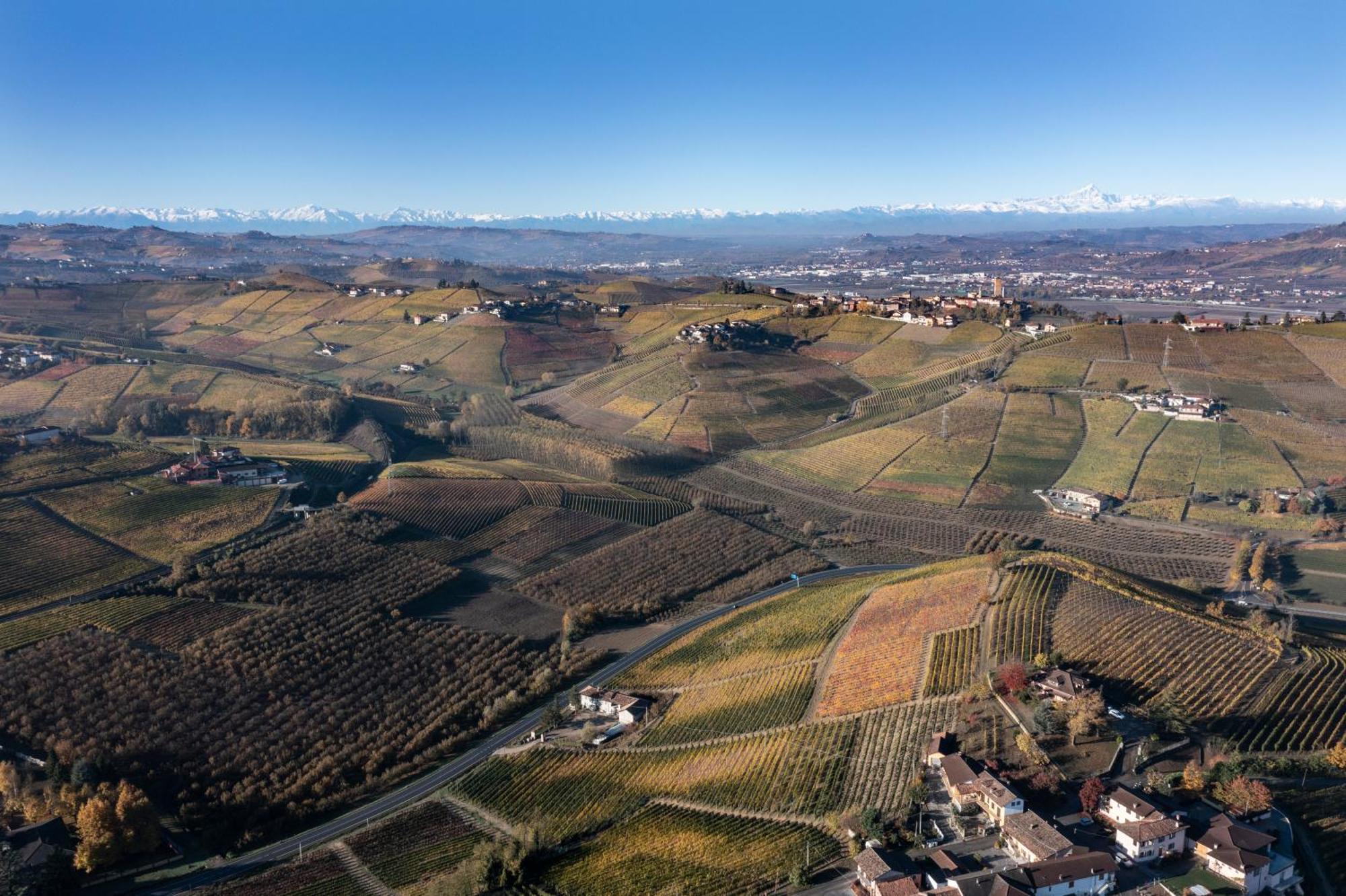 Agriturismo Antichi Poderi Gallina Neive Dış mekan fotoğraf