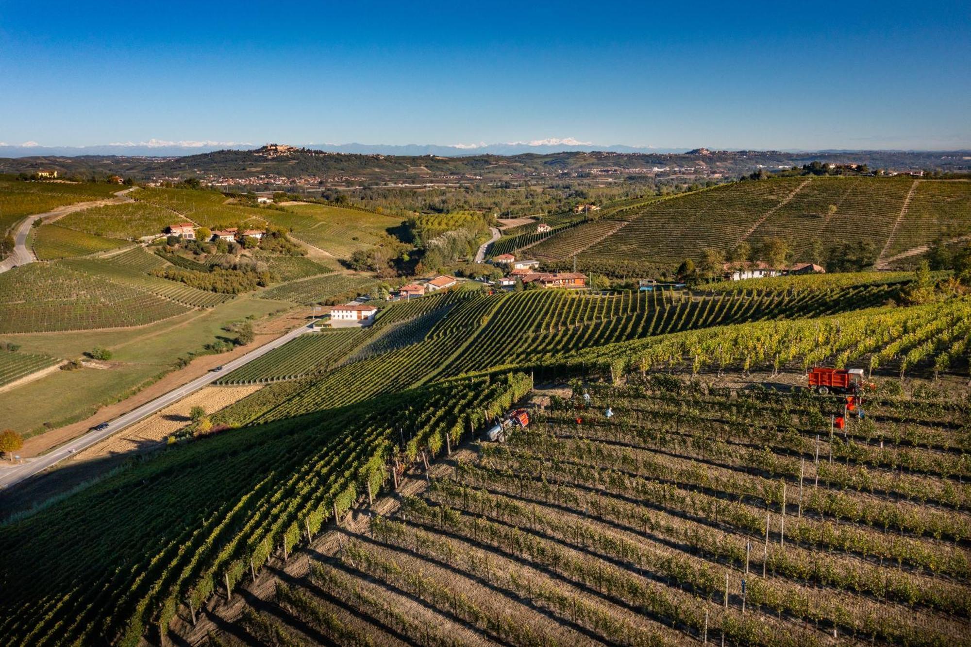Agriturismo Antichi Poderi Gallina Neive Dış mekan fotoğraf